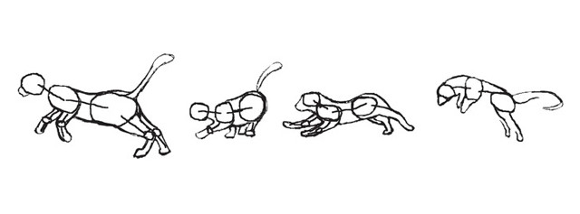 A series of ovals of varying sizes positioned at important junctions and capturing some of the main body parts. The particular orientations and combinations of these primitives indicate different body poses and leads to an animation of natural-looking movements.